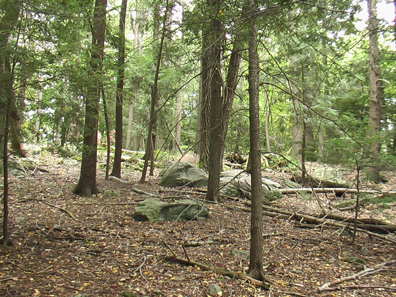 Image: Interior space, there are large boulders, and a wider space showing the gentle slope of the topography.