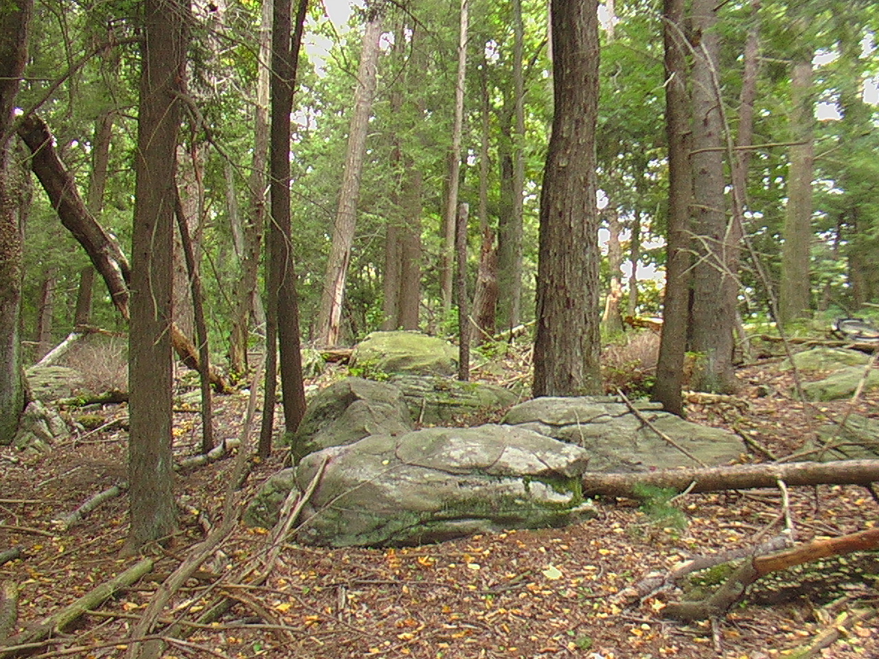 Image: Interior space, there is another area of boulders.